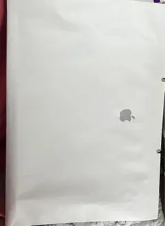 Apple iPad Proが入っていた袋