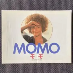 映画パンフレット　モモ