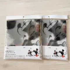 ディズニー 網戸 カインズ ミッミーマウス/月 2枚セット 未使用