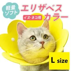 Item thumbnail for item 2fe60cc1-a105-488c-8b69-6e2db0ebbeb8
