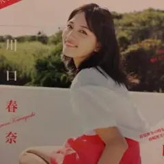 川口春奈さんグラビア切り抜き