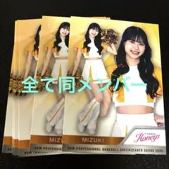 Item thumbnail for item bbaa276b-d738-4bd2-8645-34833acd064d