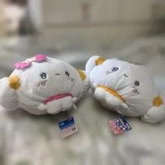 こぎみゅんぬいぐるみ 2体セット