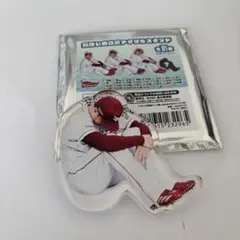 楽天イーグルス 自立式 体育座り アクリルスタンド シークレット