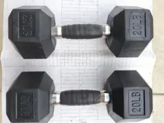 ベーシック ダンベル20LB(9.072kg)×2個【希少品】【レアな品】
