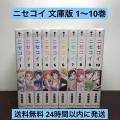 ニセコイ 文庫版 1〜10巻セット