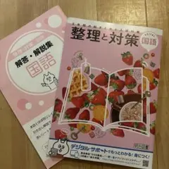 整理と対策 国語 明治図書