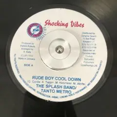 7 " Rude Boy Cool Down レゲエ　レコード　90s