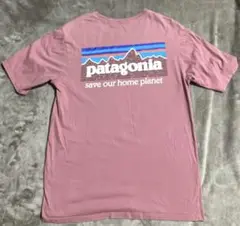 ✨美品✨Patagonia パタゴニア　organic cotton Tシャツ