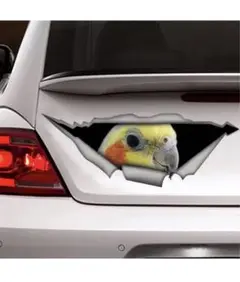 オカメインコ カーステッカー