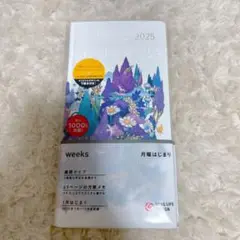 値下げしました【極美品】junaida ジュナイダ ポスターカレンダー 値下げしました【極美品】junaida ジュナイダ ポスター