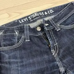 LEVI STRAUSS&CO. 31インチ デニム
