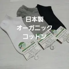 ３足組♪★オーガニックコットン★ 浅いスニーカーソックス(23～25)