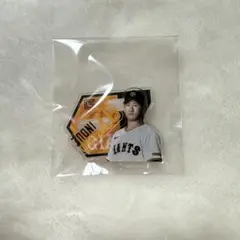 井上温大　ミニアクスタ