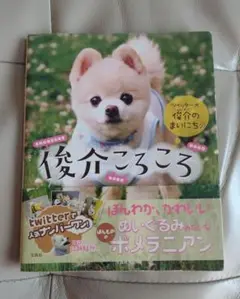 俊介ころころ　エッセイ　本