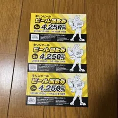 ソフトバンクホークス PayPayドーム キリンビール回数券 15杯売り子