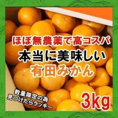 コスパ最高!ほぼ無農薬(減農薬)ご家庭用みかん【早生】有田みかん 3kg