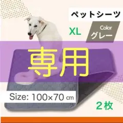 Item thumbnail for item d9924872-f8bd-47f9-b6da-ab269b30beff