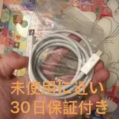 純正美品APPLE THUNDERBOLT 2 2m ケーブル保証付