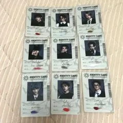 &TEAM IDENTITY CARD 9枚セット