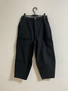 THE NORTH FACE PURPLE LABEL Pants