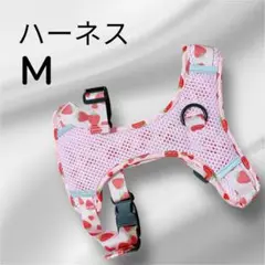 Item thumbnail for item 21339563-a266-4f79-b73b-5275d95b70dd