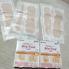 Item thumbnail for item be460e85-a15c-49cd-8edd-a66a4e264f10