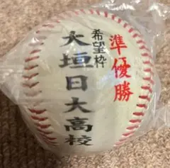 第79回選抜高校野球大会 日大大垣高校 準優勝ボール