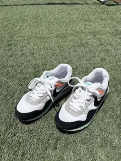 NIKE ナイキ　エアマックス　コリレート　23.5cm