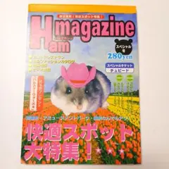 ハムスター　メモ帳　ハムマガジン　平成レトロ