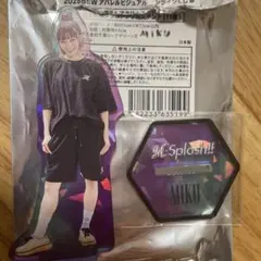 エムスプ　アクスタ