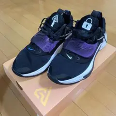 NIKE ナイキ ズームフリーク3 28.5cm