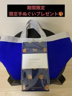 美品 エルベシャプリエ 707CB アンディゴ シルバー ブラン M 舟型