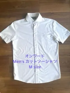 Item thumbnail for item 674c4230-f983-416b-9758-5c2e22fa763e