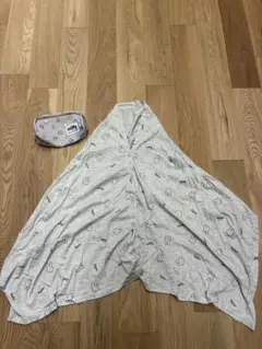 Item thumbnail for item 53b71916-3be2-414f-9c84-55c468ca5d12