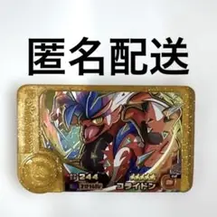 匿名配送　ポケモンフレンダ　ベストタッグ1弾　レガシーピック　コライドン