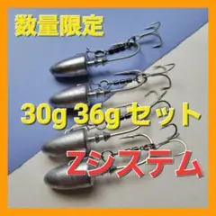 数量限定 ジグヘッド アシストフック Zシステム 36g 30g セットj