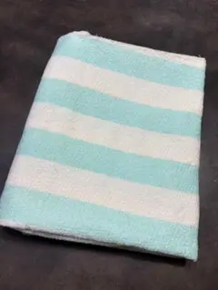 Item thumbnail for item c3c5cebf-972c-435f-9d8f-8928b9f3cdb6