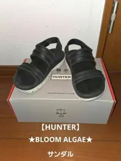★値下げ★箱付★HUNTER ハンター BLOOM ALGAEサンダル ブラック