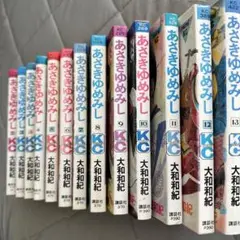 【即日発送】あさきゆめみし 全13巻セット