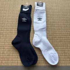 Item thumbnail for item e60f48d5-bc64-47f3-9175-8998df0feeee