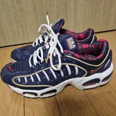 今週削除　NIKE エアマックス テイルウィンド4　USA