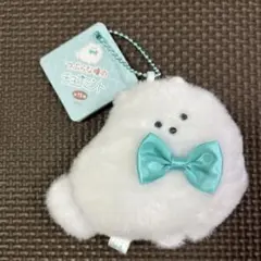 つぶらな瞳　チョコミント　ポメラニアン　白