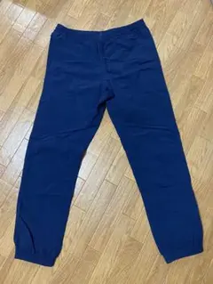 patagonia バギーズパンツ パタゴニア 廃盤