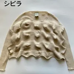 SYBILLA シビラ　ウェーブデザインプルオーバーニット