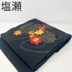 Item thumbnail for item c85d1e97-1258-4a6d-bfd2-8b9e38728e0f