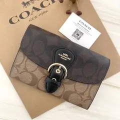 Item thumbnail for item d1bd8c03-6aac-49ee-9079-57ab20f9ed0d