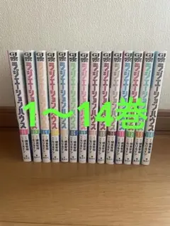 ラジエーションハウス 1〜14巻セット