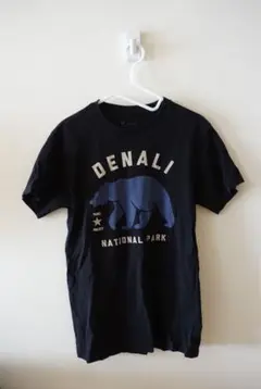 The North Face DENALI NATIONAL PARK Tシャツ