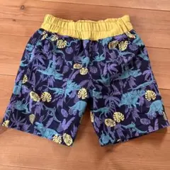 恐竜柄 水着 サイズ100